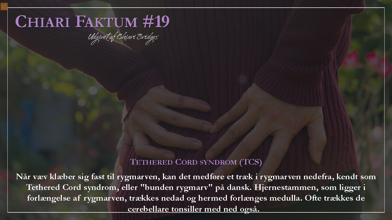Chiari Faktum #19