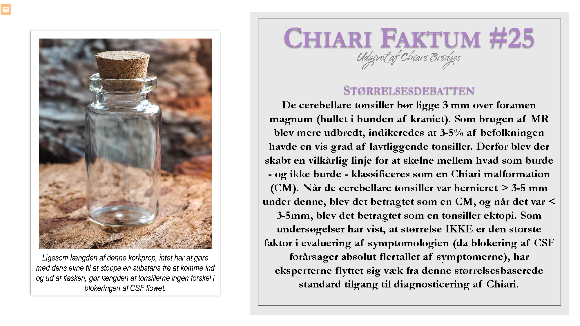 Chiari Faktum #25