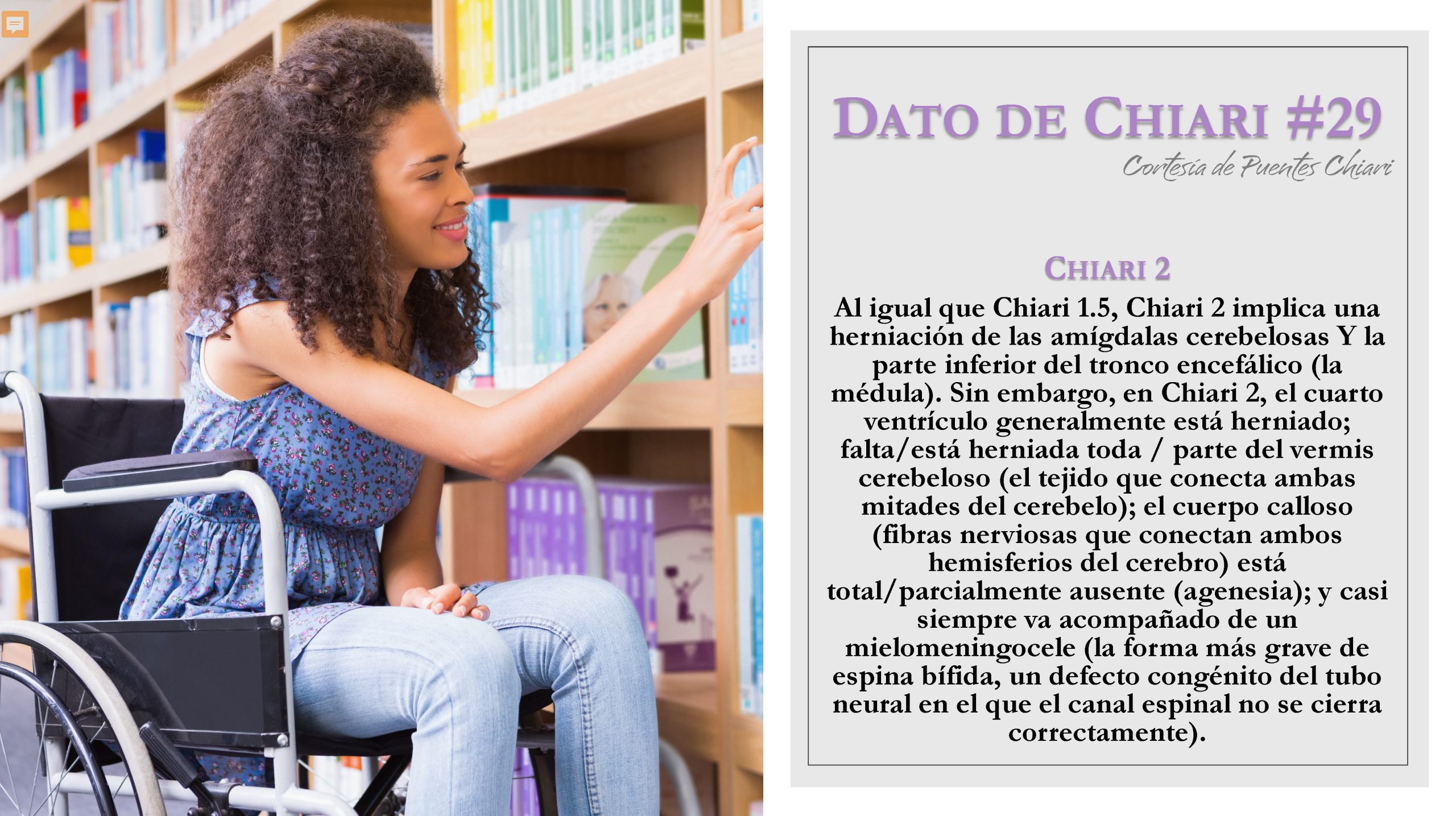 Dato de Chiari #29